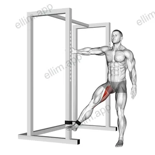 Band hip adduction exercise targeting Hips
