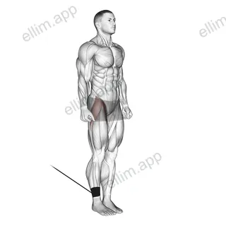 Band Hip Flexion exercise targeting Hips
