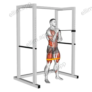 Band horizontal Pallof Press with Resistance Band Squat exercise targeting Gluteus Maximus and Obliques