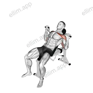 Band Incline Bench Press exercise targeting Chest