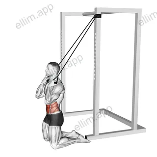 Band Kneeling Crunch exercise targeting Waist and Rectus Abdominis