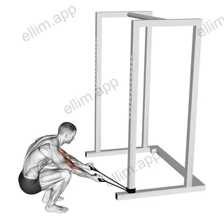 Band Kneeling Preacher Curl exercise targeting Upper Arms and Biceps Brachii
