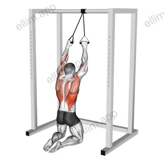 Band Knelling Lat Pulldown exercise targeting Back