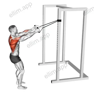 Band Narrow Grip High Row exercise targeting Back and Infraspinatus