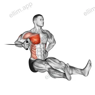 Band one arm twisting chest press exercise targeting Chest and Pectoralis Major Sternal Head