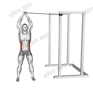 Band Overhead Side Bend exercise targeting Waist and Obliques