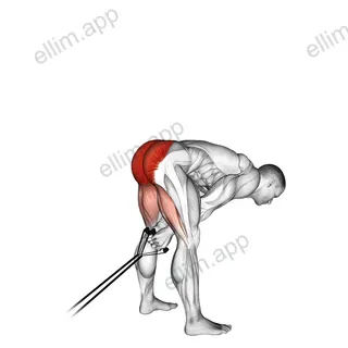 Band pull through exercise targeting Hips and Gluteus Maximus