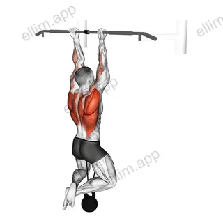 Band Resisted Chin-up exercise targeting Back