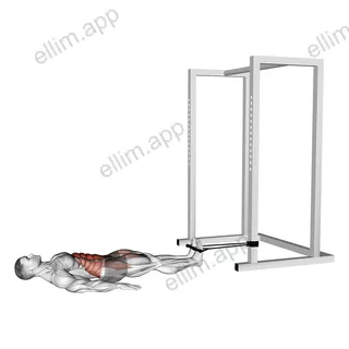 Band Reverse Crunch exercise targeting Waist and Iliopsoas