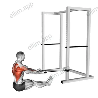 Band Seated Underhand Grip Row exercise targeting Back and Infraspinatus