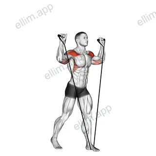 Band shoulder press exercise targeting Shoulders and Deltoid Anterior