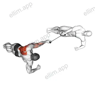 Band Side Plank Row with Partner exercise targeting Back
