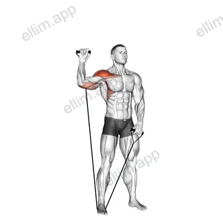 Band Single Arm Shoulder Press exercise targeting Shoulders and Deltoid Anterior