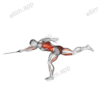 Band Single Stiff Leg Deadlift with Single Arm Row exercise targeting Back and Hips