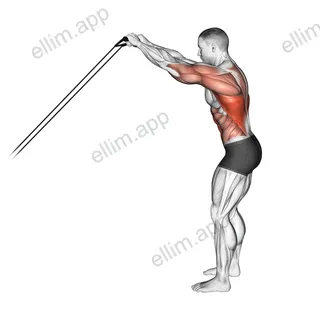 Band Skier exercise targeting Back