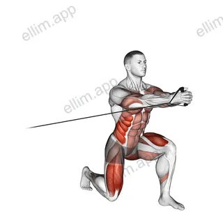 Band Split Squat with Horizontal Pallof Hold exercise targeting Hips and Thighs