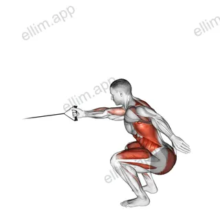Band Squat with Single Arm Row exercise targeting Back and Thighs