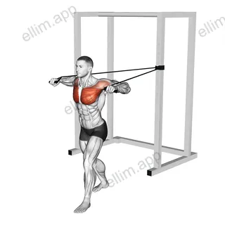 Band Standing Alternate Chest Press exercise targeting Chest and Pectoralis Major Sternal Head
