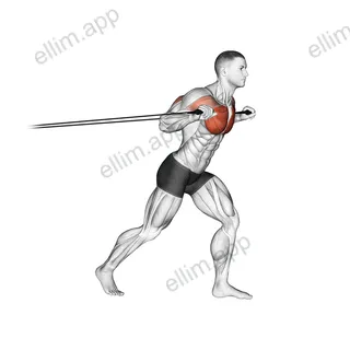 Band Standing Chest Press exercise targeting Chest and Pectoralis Major Sternal Head