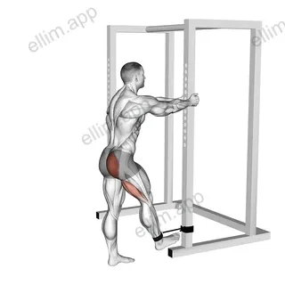 Band Standing Hip Extension exercise targeting Hips and Gluteus Maximus