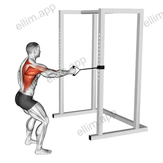 Band Standing Single Arm Row exercise targeting Back