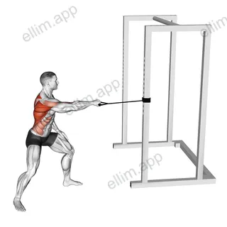 Band Standing Single Arm Twist Row exercise targeting Back and Infraspinatus