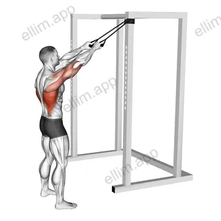Band Standing Straight Arm Pulldown exercise targeting Back