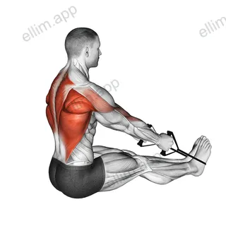 Band straight exercise targeting Back