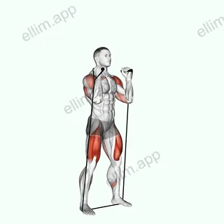 Band Thruster exercise targeting Hips and Shoulders