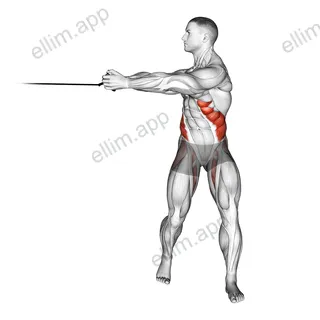 Band twist exercise targeting Waist and Obliques