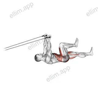 Band Upper Body Lying Air Bike exercise targeting Hips and Waist