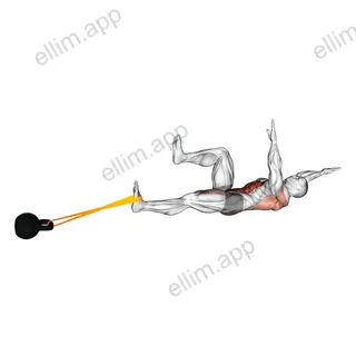 Banded Lower Body Dead Bug exercise targeting Waist