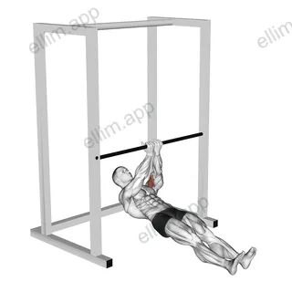 Bar Close Grip Biceps Curl exercise targeting Upper Arms