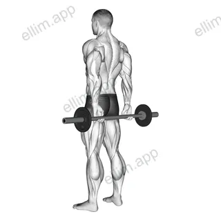 Barbell Behind Back Finger Curl exercise targeting Forearms
