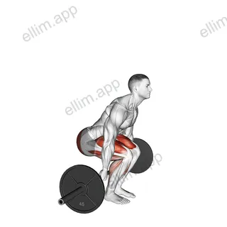 Barbell Behind The Back Deadlift exercise targeting Hips
