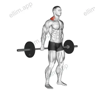 Barbell Behind The Back Shrug exercise targeting Back and Trapezius Upper Fibers