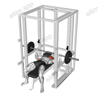 Barbell Bench Press with 2 board exercise targeting Chest