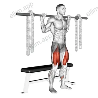Barbell Bench Squat (With chains) exercise targeting Thighs