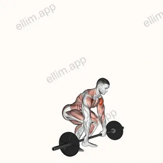 Barbell Clean and Press exercise targeting Shoulders and Deltoid Anterior