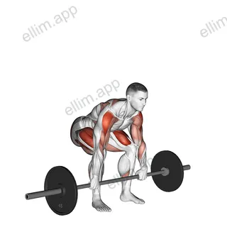 Barbell Clean High Pull exercise targeting Weightlifting and Deltoid Lateral