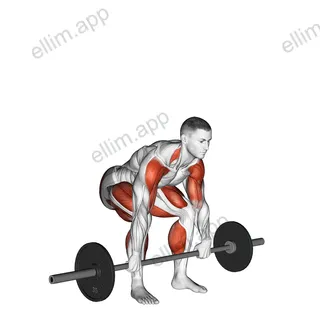 Barbell Clean Pull exercise targeting Weightlifting