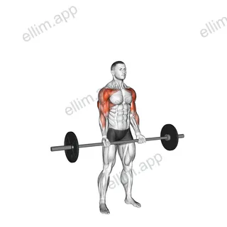 Barbell Curl Press Extension exercise targeting Upper Arms