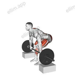 Barbell Deadlift from Blocks exercise targeting Hips