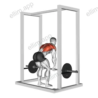Barbell Deadstop Row with Rack exercise targeting Back