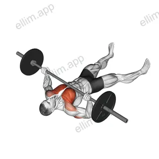 Barbell Floor Chest Press exercise targeting Chest and Pectoralis Major Clavicular Head