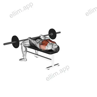 Barbell Front Raise and Pullover exercise targeting Chest and Pectoralis Major Clavicular Head