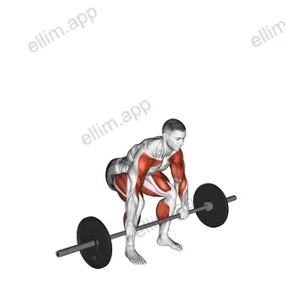 Barbell Full Clean exercise targeting Weightlifting