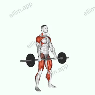 Barbell Hang Snatch exercise targeting Weightlifting and Adductor Magnus