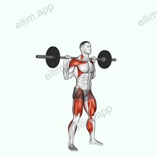 Barbell Heaving Snatch Balance exercise targeting Weightlifting