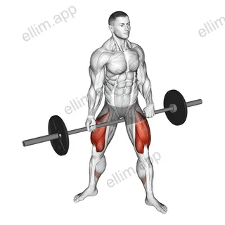 Barbell Jefferson Squat exercise targeting Thighs and Gluteus Maximus